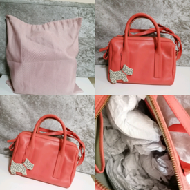 radley bag seconds